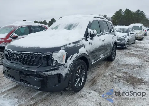 2025 Kia Telluride Ex X-Line from USA, damaged, VIN 5XYP3DGC4SG628749